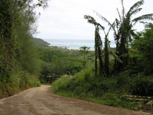 La route traversière de Raivavae