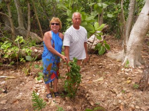 Plantation du santal sur un motu par deux écotouristes alsaciens