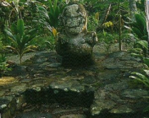 Raivavae vu par www.coeurpolynesie.com - 12